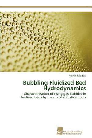 Bubbling Fluidized Bed Hydrodynamics de Martin Rüdisüli