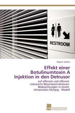 Effekt Einer Botulinumtoxin a Injektion in Den Detrusor: Measurement and Source Allocation de Regine Gelbke