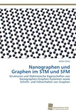 Nanographen und Graphen im STM und SFM de Stefan Eilers