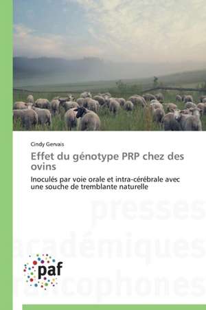 Effet du génotype PRP chez des ovins de Cindy Gervais