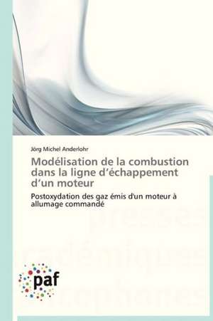 Modélisation de la combustion dans la ligne d'échappement d'un moteur de Jörg Michel Anderlohr