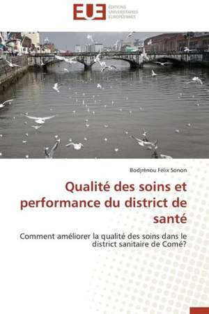 Qualite Des Soins Et Performance Du District de Sante: Cas Du Riz de Kovie Au Togo de Bodjrènou Félix Sonon