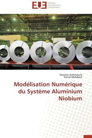 Modelisation Numerique Du Systeme Aluminium Niobium: Nouveau Fondement de Responsabilite Civile? de Hassane Arahmouch