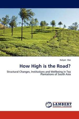 How High is the Road? de Das Kalyan