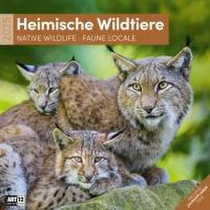 Heimische Wildtiere Kalender 2025 - 30x30 de Ackermann Kunstverlag