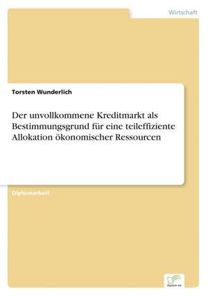 Der unvollkommene Kreditmarkt als Bestimmungsgrund für eine teileffiziente Allokation ökonomischer Ressourcen de Torsten Wunderlich