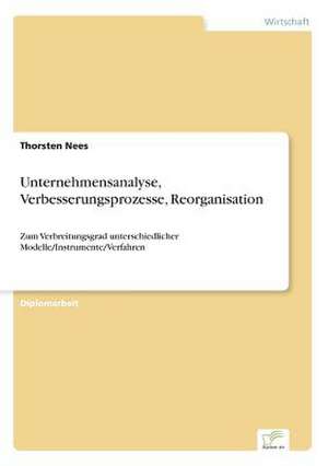 Unternehmensanalyse, Verbesserungsprozesse, Reorganisation de Thorsten Nees