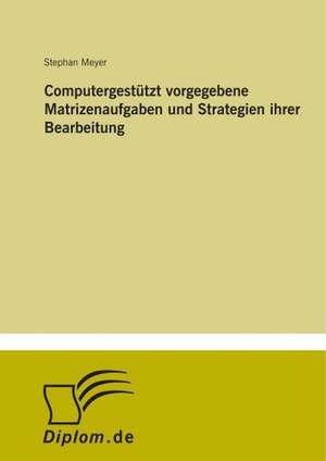 Computergestützt vorgegebene Matrizenaufgaben und Strategien ihrer Bearbeitung de Stephan Meyer