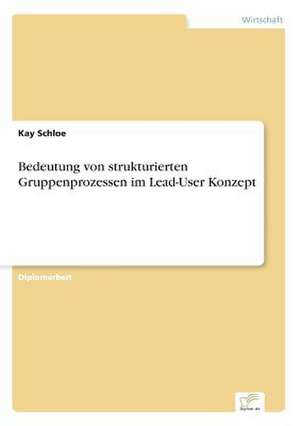 Bedeutung von strukturierten Gruppenprozessen im Lead-User Konzept de Kay Schloe