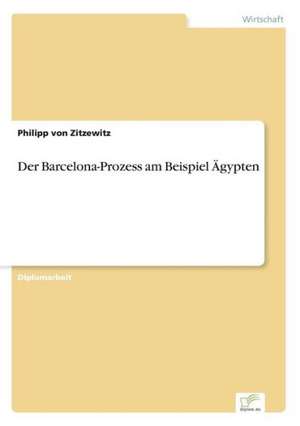 Der Barcelona-Prozess Am Beispiel Agypten: Messung Des E-Business-Erfolges de Philipp von Zitzewitz