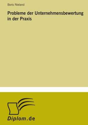 Probleme Der Unternehmensbewertung in Der Praxis: Ein Multi-Ziel-Optimierungsansatz de Boris Nieland