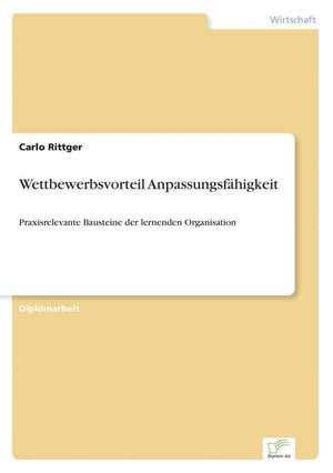 Wettbewerbsvorteil Anpassungsfahigkeit: Chancen, Risiken Und Absicherungsmoglichkeiten Fur Osterreichische Exporteure de Carlo Rittger