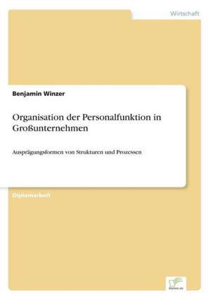 Organisation Der Personalfunktion in Grossunternehmen: Strong in Theory But Struggling in Practice de Benjamin Winzer