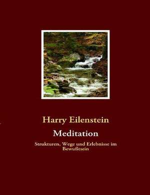 Meditation de Harry Eilenstein