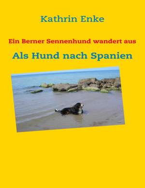 Ein Berner Sennenhund wandert aus de Kathrin Enke