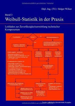 Band 3: Weibull-Statistik in der Praxis de Holger Wilker