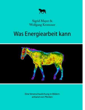 Was Energiearbeit kann de Sigrid Mayer