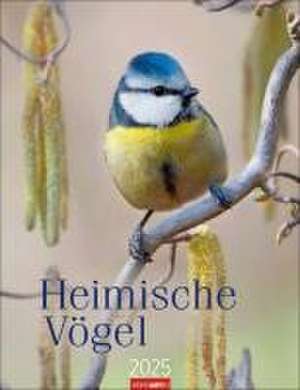 Heimische Vögel Kalender 2025