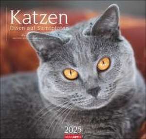 Katzen - Diven auf Samtpfoten Kalender 2025 - Diven auf Samtpfoten