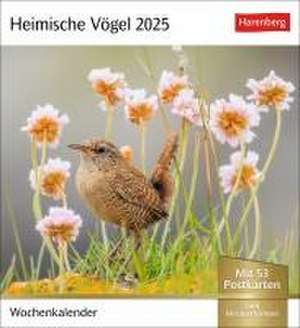 Heimische Vögel Postkartenkalender 2025 - Wochenkalender mit 53 Postkarten de Harenberg