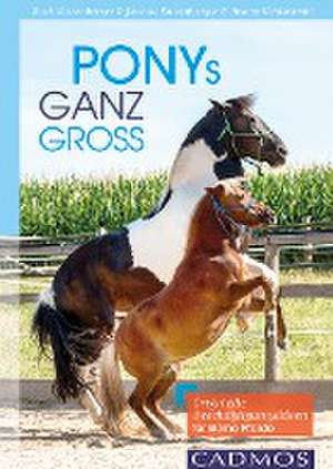 Ponys ganz groß de Ruth Katzenberger