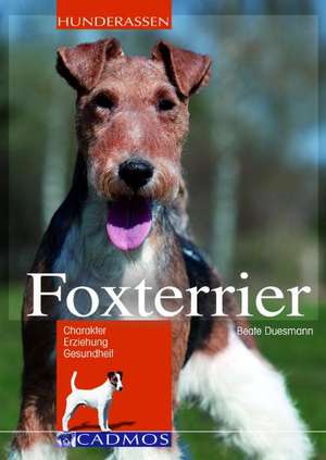 Foxterrier de Beate Duesmann