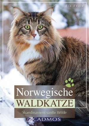 Norwegische Waldkatze de Eva Ewald