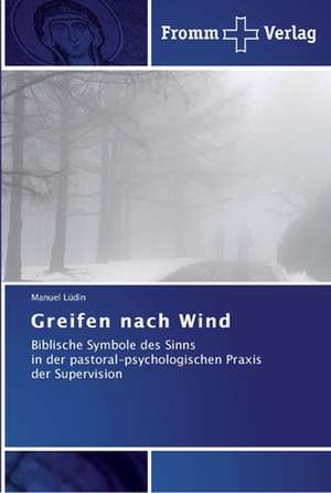 Greifen nach Wind de Manuel Lüdin