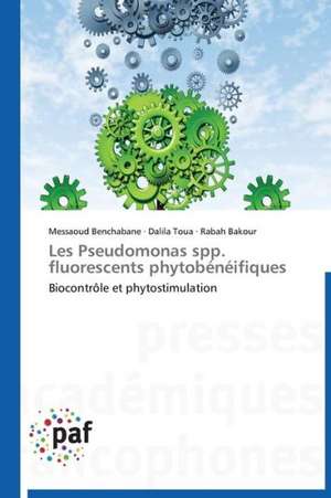 Les Pseudomonas spp. fluorescents phytobénéifiques de Messaoud Benchabane