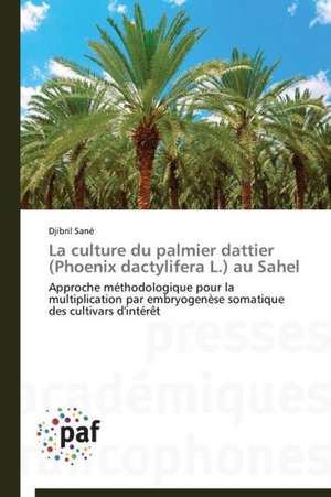 La culture du palmier dattier (Phoenix dactylifera L.) au Sahel de Djibril Sané