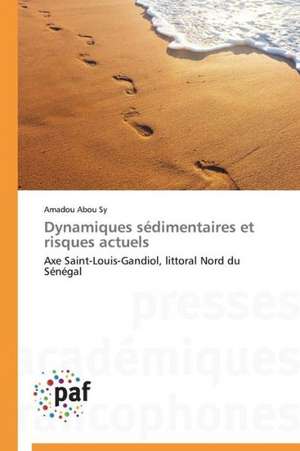 Dynamiques sédimentaires et risques actuels de Amadou Abou Sy