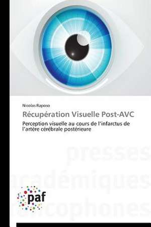 Récupération Visuelle Post-AVC de Nicolas Raposo