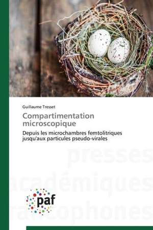 Compartimentation microscopique de Guillaume Tresset