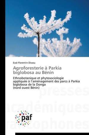 Agroforesterie à Parkia biglobosa au Bénin de Essè Florentin Dissou