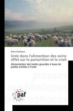 Urée dans l'alimention des ovins effet sur le parturition et le croit de Ilhem Chachoua