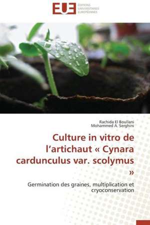 Culture in Vitro de L'Artichaut Cynara Cardunculus Var. Scolymus: Mission Impossible? de Rachida El Boullani