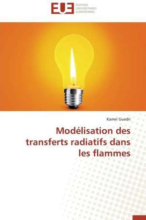 Modelisation Des Transferts Radiatifs Dans Les Flammes: Conception D'Un Systeme de Devraquage de Kamel Guedri