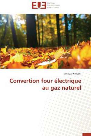 Convertion Four Electrique Au Gaz Naturel: Analyse de La Rentabilite Et Du Risque de Anouar Kerkeni