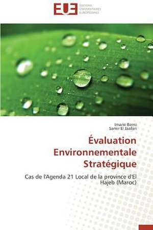 Evaluation Environnementale Strategique