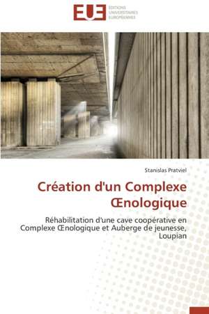 Creation D'Un Complexe Nologique: Agregat de Concepts Existants Ou Emergence D'Un Genre Nouveau ? de Stanislas Pratviel