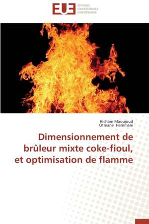 Dimensionnement de Bruleur Mixte Coke-Fioul, Et Optimisation de Flamme: Une Eclosion Libertaire Iconique de Hicham Maoujoud