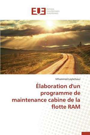 Elaboration D'Un Programme de Maintenance Cabine de La Flotte RAM: Cas Du Service Abr de M'hammed Laghchioui