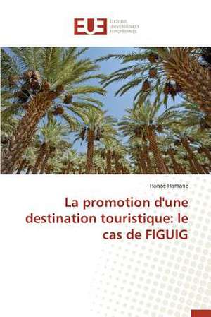 La Promotion D'Une Destination Touristique: Le Cas de Figuig de Hanae Hamane