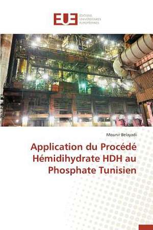 Application Du Procede Hemidihydrate Hdh Au Phosphate Tunisien: Plante Modele de Mounir Belayadi