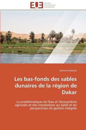 Les Bas-Fonds Des Sables Dunaires de La Region de Dakar: Senegal/France de Sylvestre Dasylva