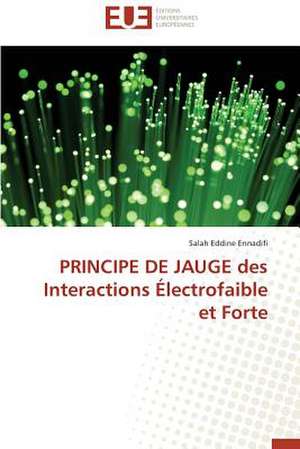 Principe de Jauge Des Interactions Electrofaible Et Forte: Stabilite Et Diagnostic de Salah Eddine Ennadifi