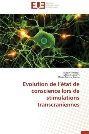 Evolution de L'Etat de Conscience Lors de Stimulations Transcraniennes: Le Cas de Thienaba de Aurore Thibaut