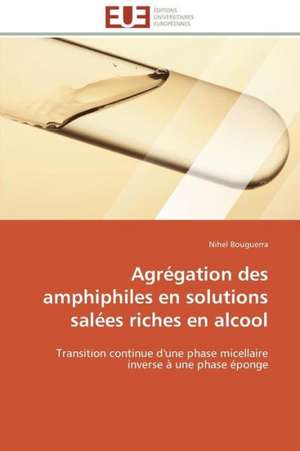 Agregation Des Amphiphiles En Solutions Salees Riches En Alcool: Filmer L'Imaginaire de Nihel Bouguerra