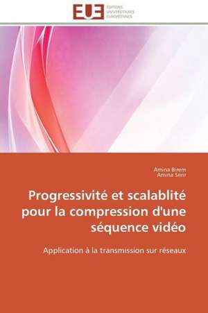 Progressivite Et Scalablite Pour La Compression D'Une Sequence Video: Les Enjeux Du Mouvement Funk Carioca de Amina Birem