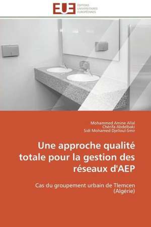 Une Approche Qualite Totale Pour La Gestion Des Reseaux D'Aep: Analyse Des Actions Du Cilss Au Burkina Faso de Mohammed Amine Allal